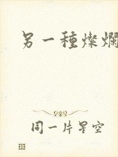 另一种灿烂生活