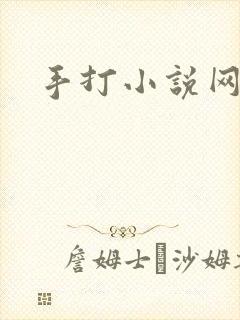 手打小说网