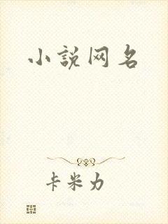 小说网名
