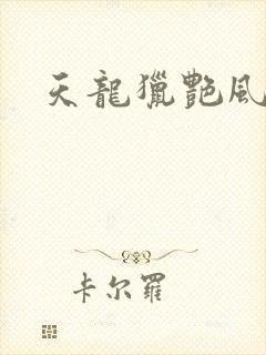 天龙猎艳风流