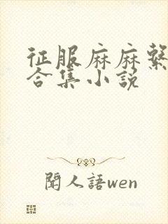 征服麻麻系列大合集小说