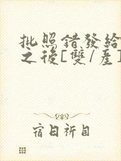 批照错发给情敌之后[双/产]