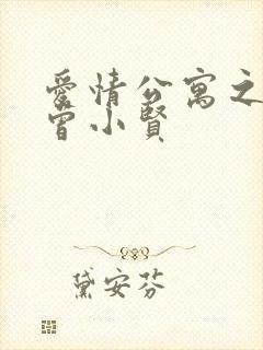 爱情公寓之极品曾小贤