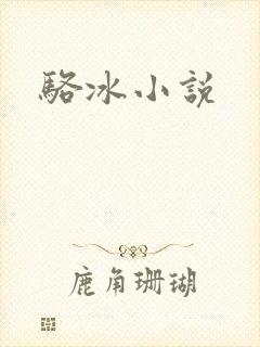 骆冰小说