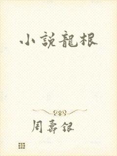 小说龙根
