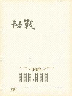 秘战