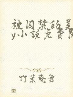 被囚禁的美人by小说免费阅读