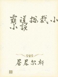 霸道总裁小娇妻小说