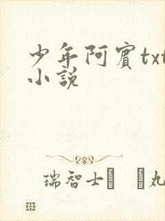 少年阿宾txt小说