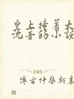 皇上撞着太子妃沈音的小说叫什么