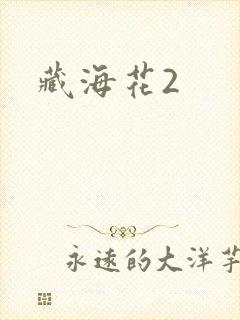 藏海花2