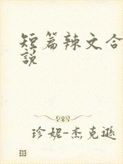 短篇辣文合集小说