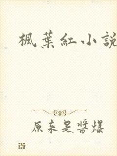 枫叶红小说