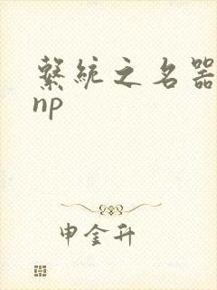 系统之名器攻略np