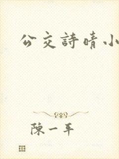 公交诗晴小说