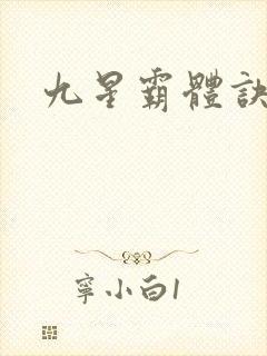 九星霸体诀小说
