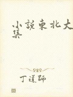 小说东北大炕全集