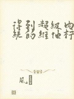 得到超级肉禽系统的维他柠檬茶