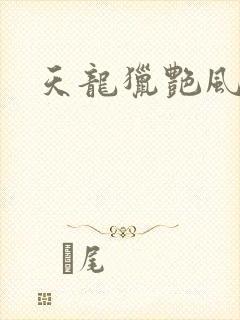 天龙猎艳风流