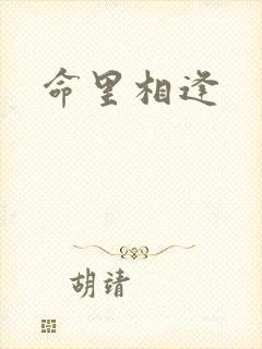 命里相逢