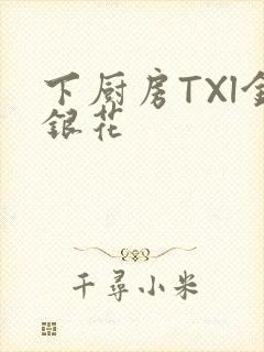 下厨房TXl金银花