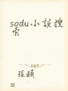 sodu小说搜索