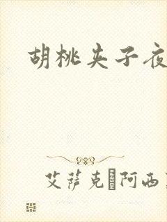 胡桃夹子夜未眠