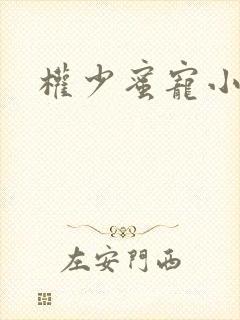 权少蜜宠小娇妻