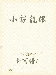 小说龙根