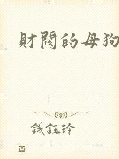 财阀的母狗们