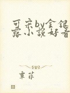可宋by金银花露小说好看吗