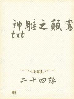 神雕之颠鸾倒凤txt