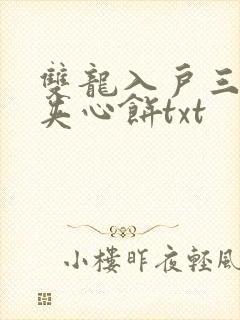双龙入户三人行夹心饼txt