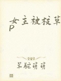 女主被校草们NP