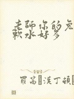 老师你的兔子好软水好多