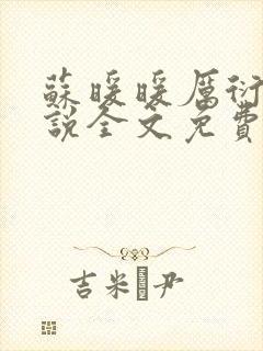 苏暖暖厉衍琛小说全文免费阅读