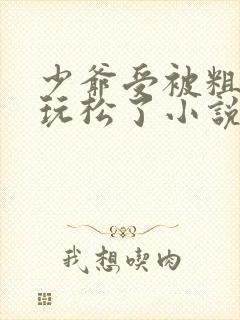 少爷受被粗汉H玩松了小说