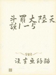 斗罗大陆天狂传说1一5