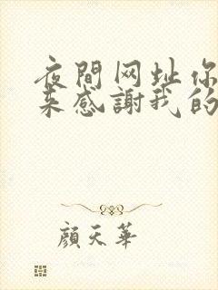 夜间网址你会回来感谢我的