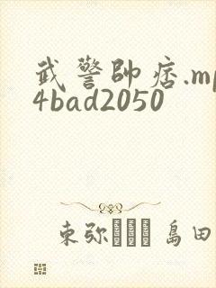 武警帅痞.mp4bad2050