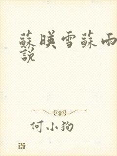 苏映雪苏雨柔小说