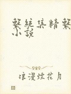 系统集精系统 小说