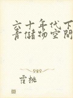 六十年代下乡知青储物空间