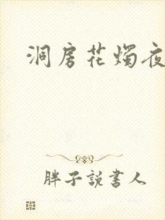 洞房花烛夜小说