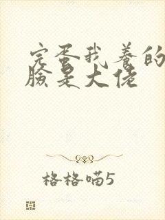 完蛋我养的小白脸是大佬