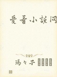 爱看小说网