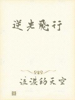 逆光飞行