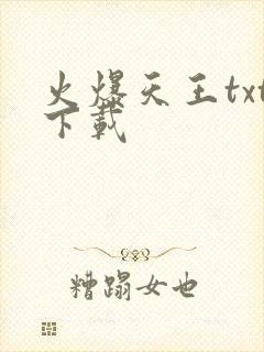 火爆天王txt下载