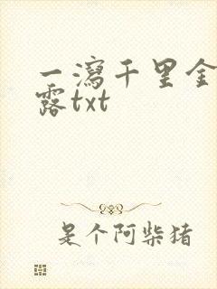 一泻千里金银花露txt