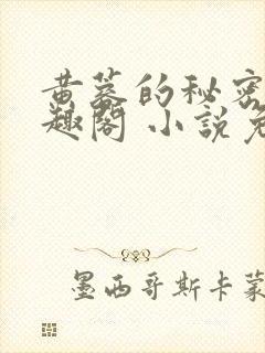 黄蓉的秘密 笔趣阁 小说免费阅读下载